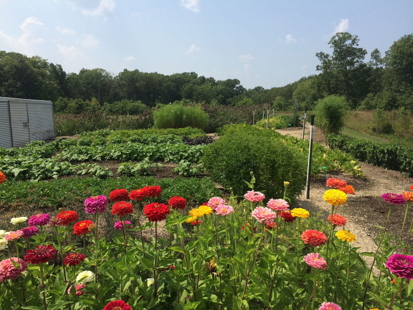 Pet-friendly and farm fresh, Firefly Grill lures travelers